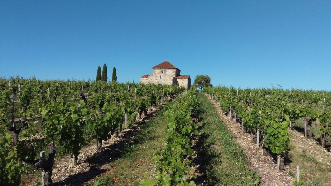 Bed and Breakfast Au Coeur Des Vignobles Saint-Estèphe Esterno foto
